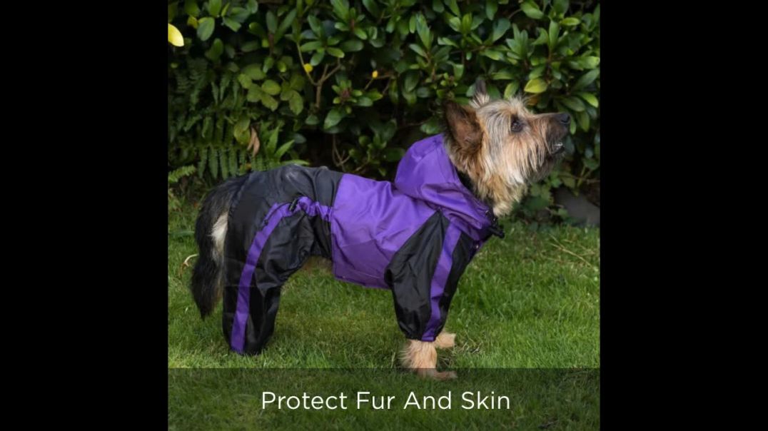 Dog Clothes Raincoat