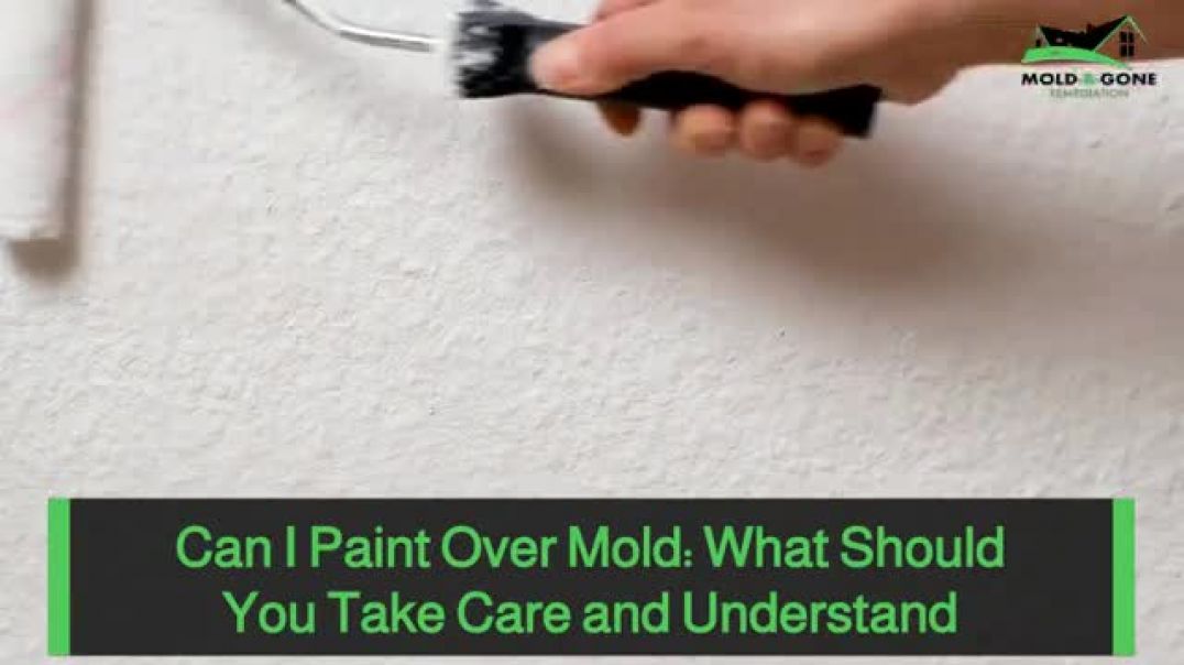 Painting Over Mold: Essential Tips & Considerations