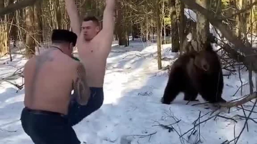 Let’s work out with the bear again